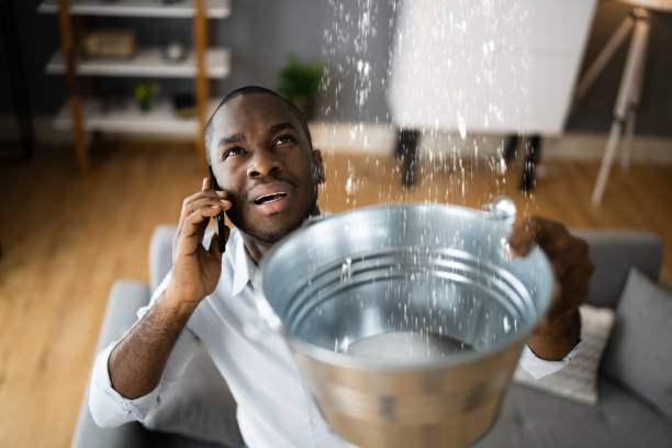 Best Commercial water damage restoration  in Mukilteo, WA