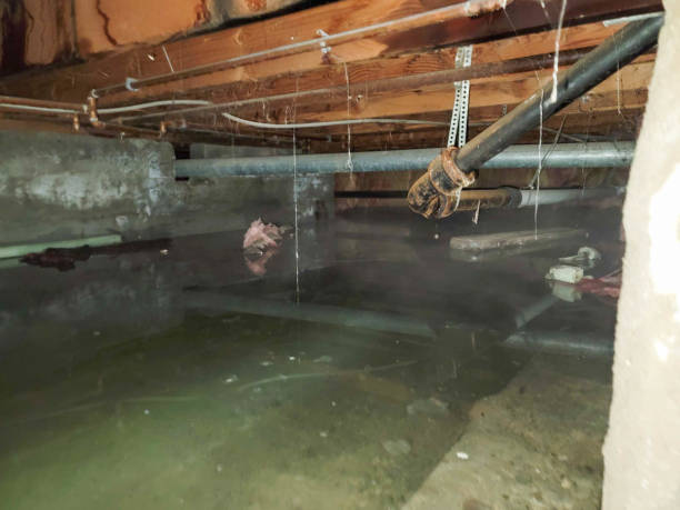 24/7 water damage repair in Mukilteo, WA