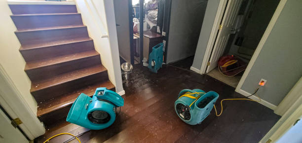 Best Flood damage cleanup  in Mukilteo, WA