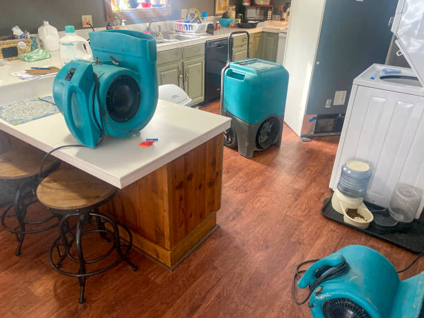 Best Mold removal after water damage  in Mukilteo, WA