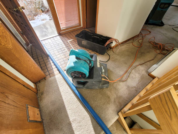 Trusted Mukilteo, WA Water damage restoration Experts