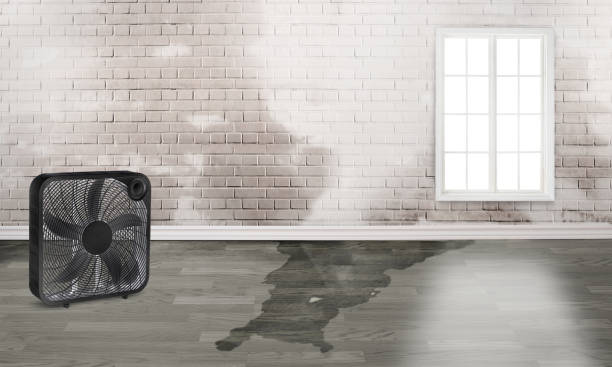 Local water damage restoration in Mukilteo, WA