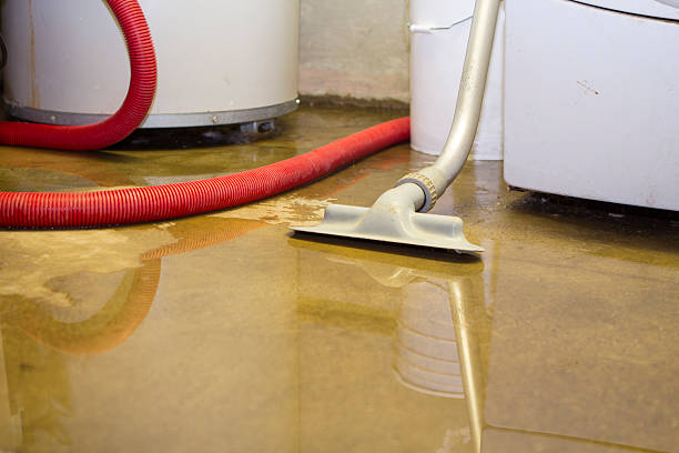 Best Local water damage restoration  in Mukilteo, WA