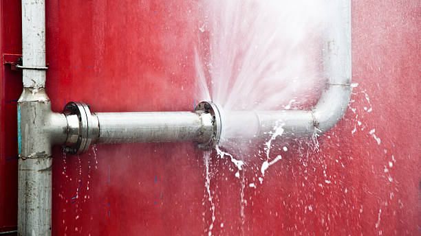 Best 24-hour water damage restoration  in Mukilteo, WA